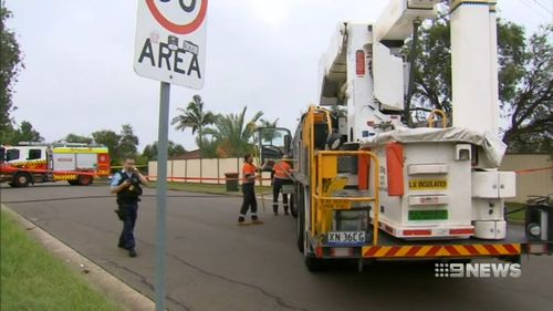 Sydney Plumpton fallen power line