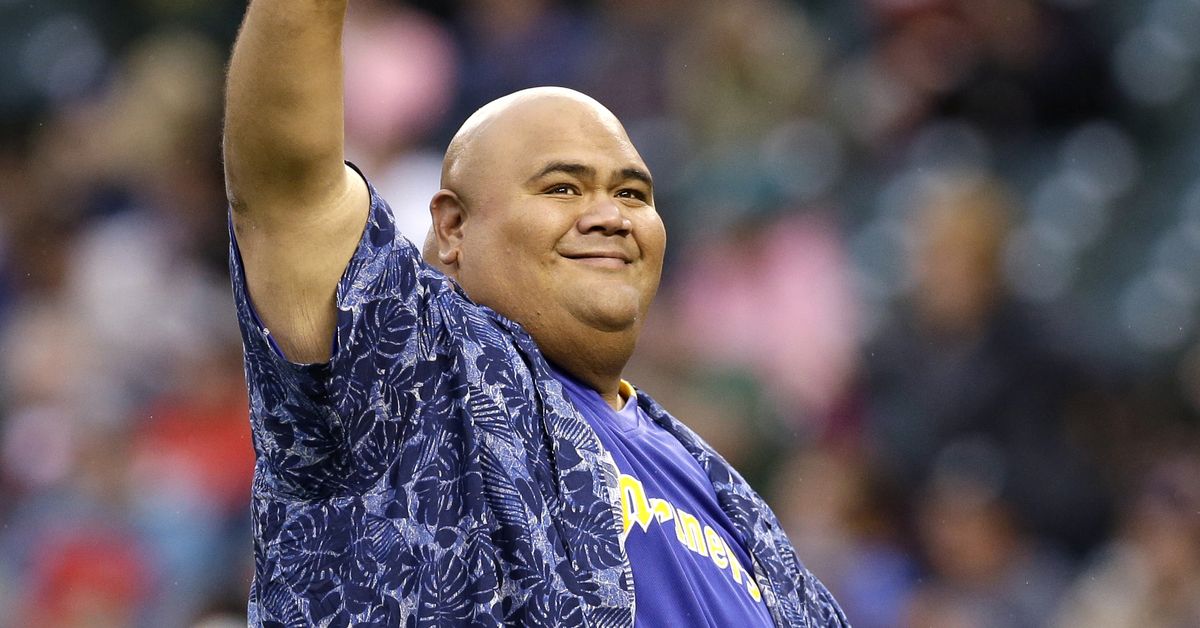 Taylor Wily death: Hawaii Five-0 and Forgetting Sarah Marshall star and former UFC fighter dies at 56