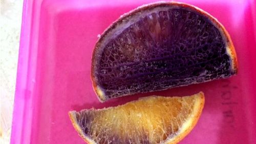 Mystery deepens after first tests on Chinchilla mum's purple oranges