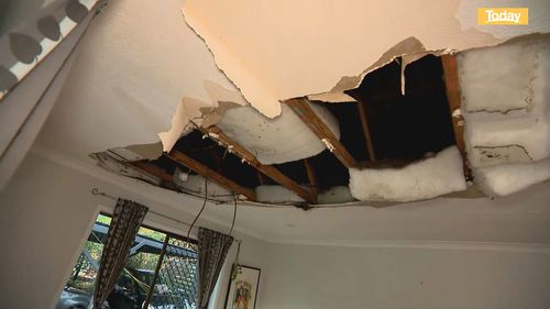 A tree punched a huge hole in the roof and ceiling of home on Tamborine Mountain.