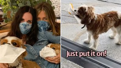 Courteney Cox, Jennifer Aniston, reunion, Instagram, video, coronavirus, masks, dogs