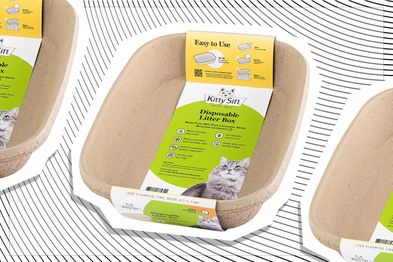 9PR: Kitty Sift Disposable Cat Litter Box, six-pack