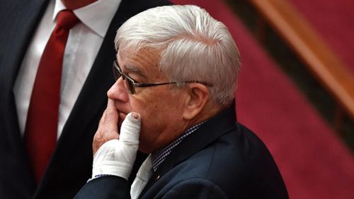 Brian Burston and his damaged hand in the Senate today.