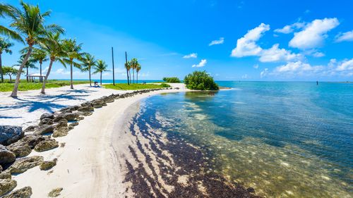 Sombrero Beach in Marathon on the Florida Keys, where the shark attack happened.