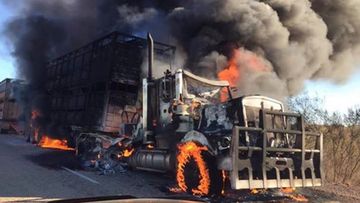 Truckie and 220 head of cattle escape outback blaze unharmed