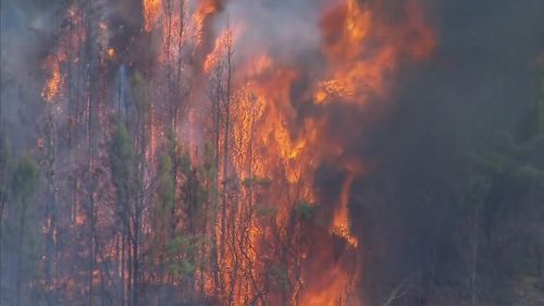 A bushfire emergency is still unfolding in the town of Tara in Queensland's western downs, where firefighters are working to protect properties.