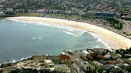 Swimmers at Bondi Beach ordered out of water after shark sighting 