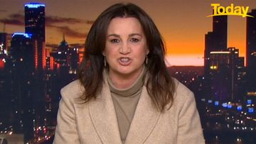 'You should be locked away': Lambie blasts Victorian Labor party