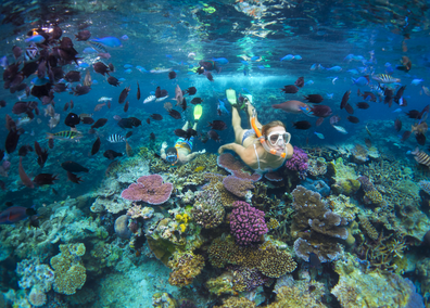 Snorkelling in Vanuatu