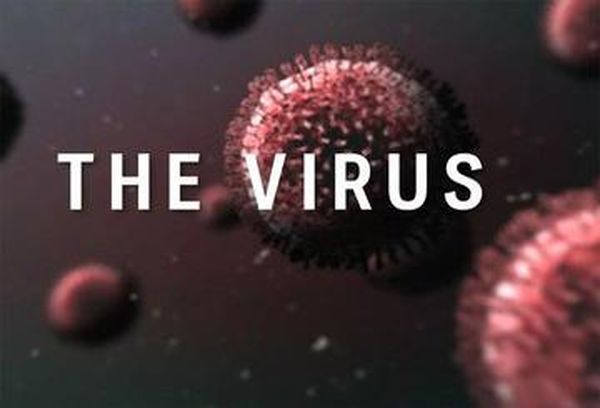 The Virus