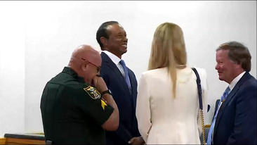 Tiger Woods enters plea deal