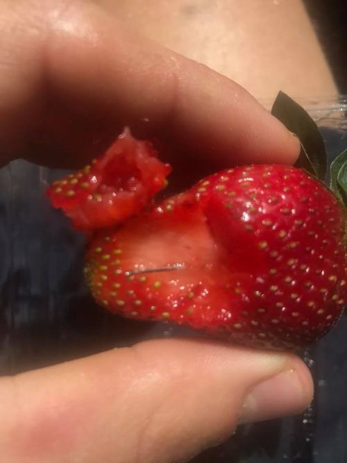Hoani Hearne was hospitalised after swallowing the needle in a strawberry.