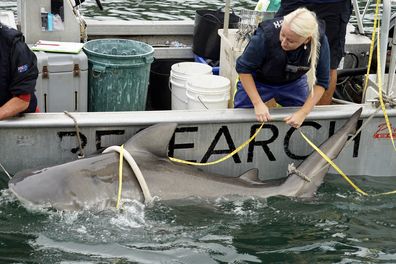 Amy Smoothey shark tackler