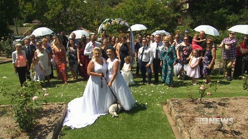 The couple's dog, Malibu, was their ring bearer