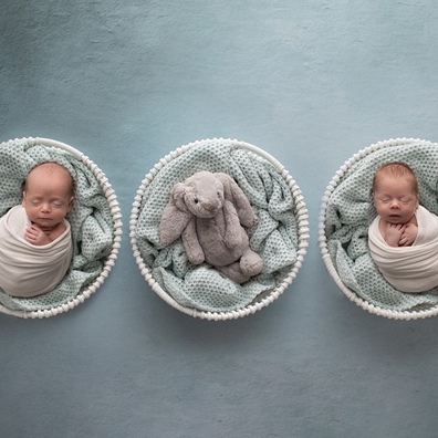 Theodore and Oscar in baskets besides empty basket symbolizing their lost triplet Louis