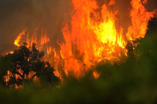 The Black Saturday fires were one of Australia's deadliest disasters.