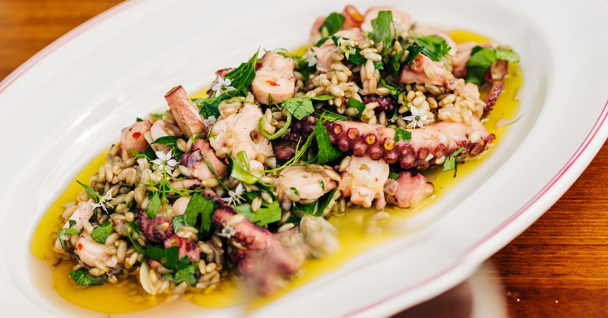 Octopus, barley, garlic and chilli salad recipe | Massimo Mele - 9Kitchen