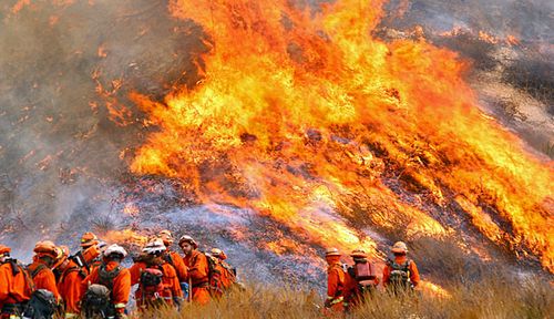 California firefighters battle to build the wildfire near LA under control. (Associated Press).