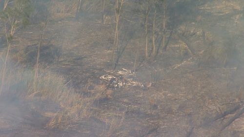 Two people have sustained life-threatening injuries in a light plane crash in Queensland.