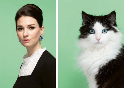 cats that look like their owners