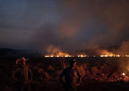 Neri dos Santos Silva, centre, watches an encroaching fire threat after digging trenches to keep the flames from spreading to the farm he works on, in the Nova Santa Helena municipality, in the state of Mato Grosso, Brazi. Under increasing international pressure to contain fires sweeping parts of the Amazon, Brazilian President Jair Bolsonaro on Friday authorised use of the military to battle the massive blazes. 