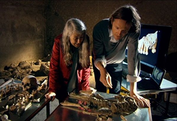The Other Pompeii: Life & Death in Herculaneum