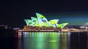 Vivid Sydney 2023 opening night