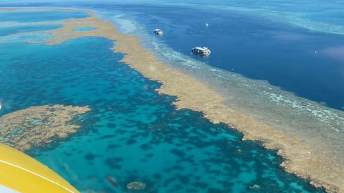 A woman has been winched off a yacht near Hook Reef about 150km north of Mackay.