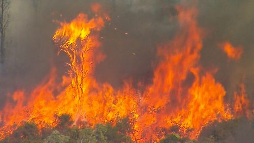 A large bushfire burning in Beerwah on Queensland's Sunshine Coast has been brought under control.