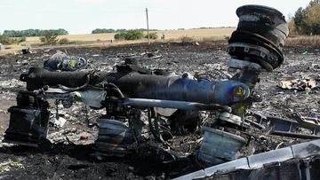 Debris of Flight MH17 at the Ukrainian crash site. 