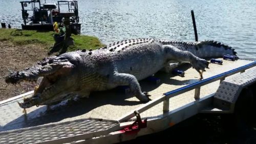 Wildlife officers were concerned younger male crocs in the Fitzroy River would become more aggressive following the iconic crocodile's death. (Supplied)