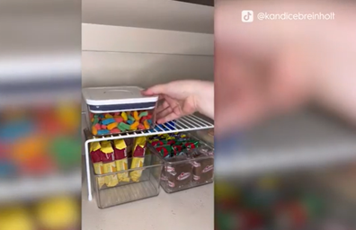 organised pantry tiktok