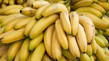 A genetically-modified banana which could protect the industry from the threat of a devastating fungal disease is one step closer to approval.