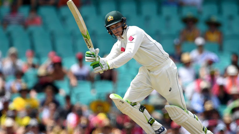 Handscomb to attack Indian Test spinners