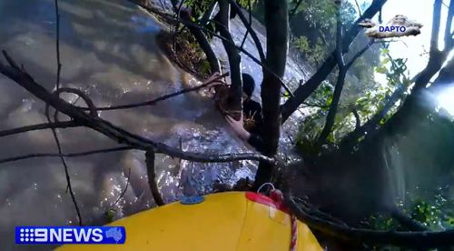 The New South Wales Illawarra region came into the firing line of the severe storm system which hit the state, drenching parts with a month's worth of rain in a single day