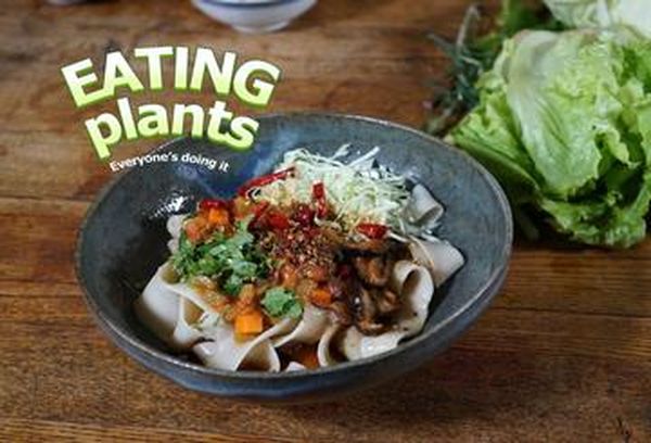 Eating Plants