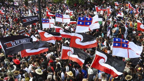 Thousands of people gathered outside New Zealand's parliament in Wellington to protest against proposed legislation that would redefine the core treaty between the indigenous Mori people and the British Crown. 