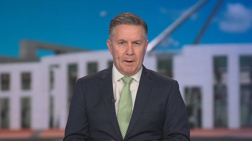 Mark Butler Labor Minister for Health Australia Today show
