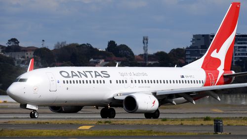 Qantas is checking its Boeing 737 fleet for cracks.