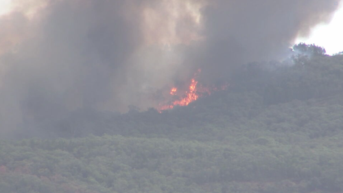 The Walwa bushfire has burned thorugh more than 1000 hectares of Mt Lawson National Park.