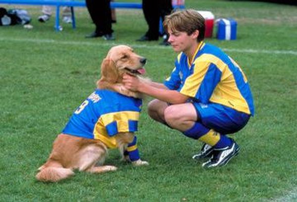 Air Bud: World Pup