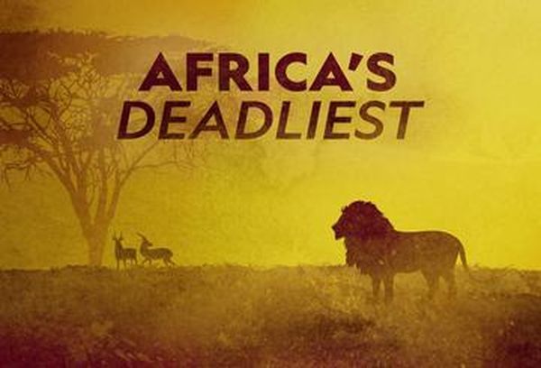 Africa's Deadliest