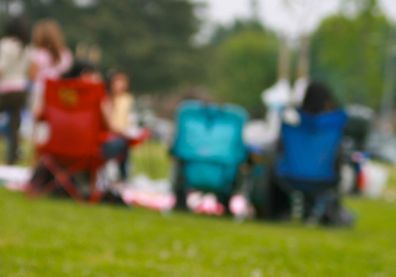 Family picnic at the park