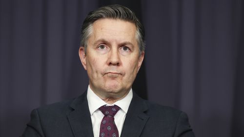 Minister for Health and Aged Care Mark Butler during a press conference at Parliament House.