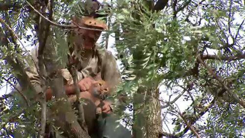 Nigel Williamson, professional animal rescuer saved the scared cat. (9NEWS)