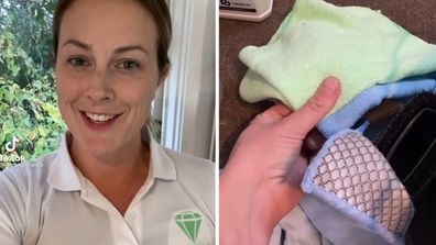 Professional cleaner reveals the products and tools she's got in her cleaning kit