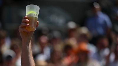 Epic crowd catch as ball lands in beer