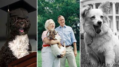 First Dogs of the White House