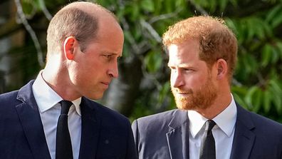 William and Harry walk together outside Windsor Castle