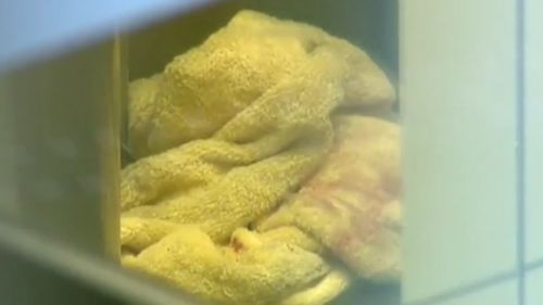 A bloodied towel at the scene. (9NEWS)